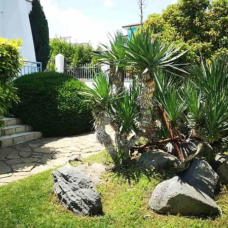 Black Sea Pearl 4* צ'רנומורץ