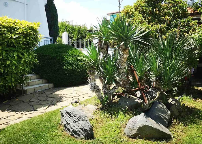 Black Sea Pearl 4* Černomorec