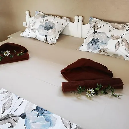 Black Sea Pearl 게스트하우스