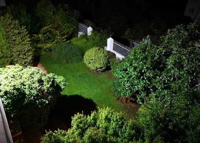 Black Sea Pearl Chernomorets